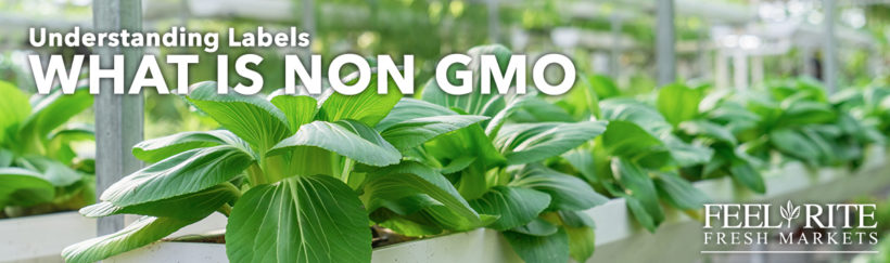 What Non GMO Means : Understanding Labels